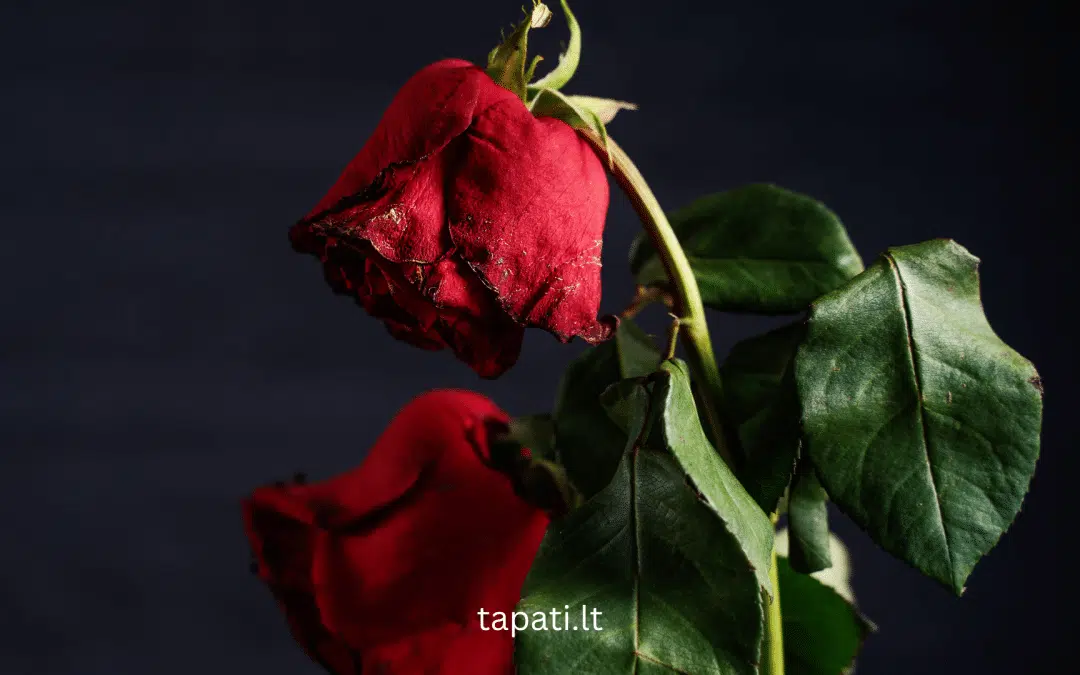 Kodėl baigiasi romantiška meilė