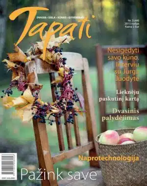 Tapati Nr.3, 2015