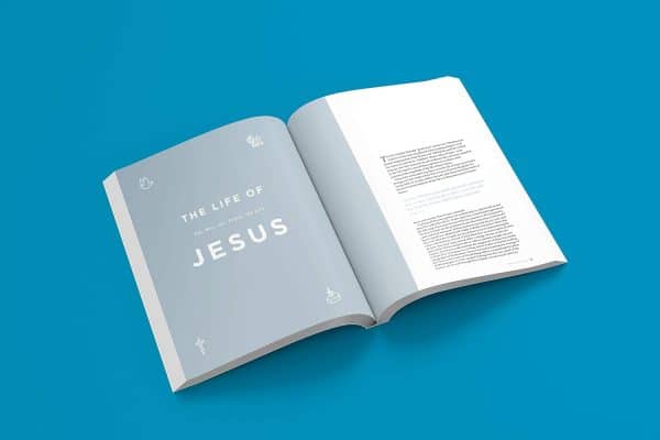 The New Testament Experience 7