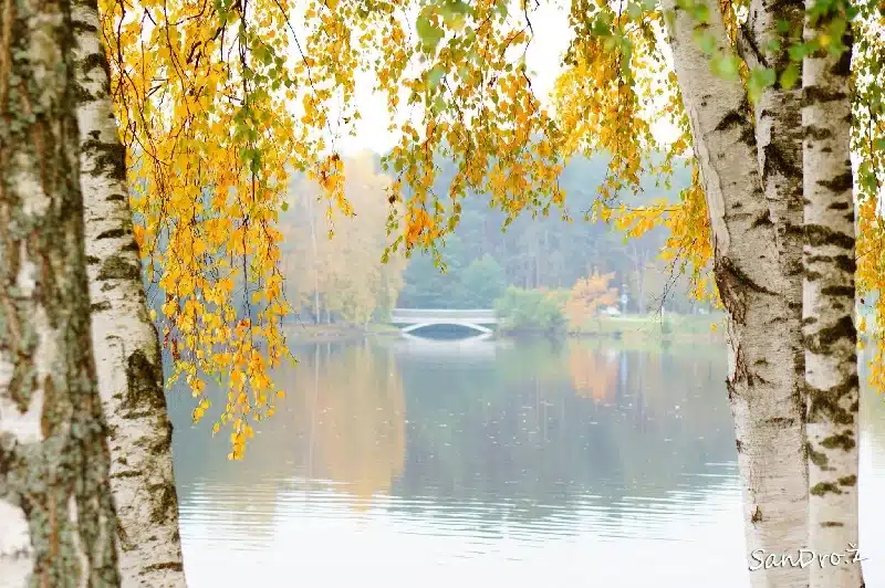 Seminaras poroms „Dialogas – išgirsti kitą“ 1