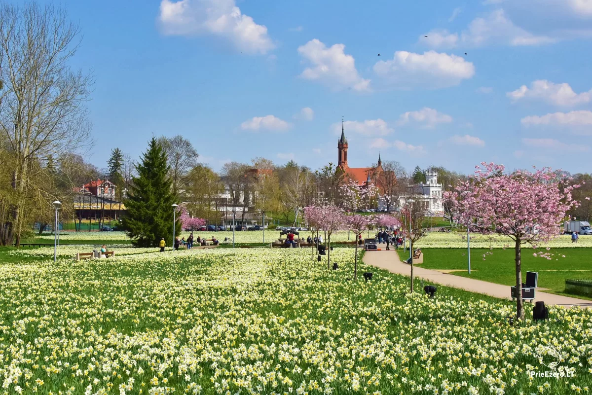 Seminaras poroms „Dialogas – išgirsti kitą“ 2