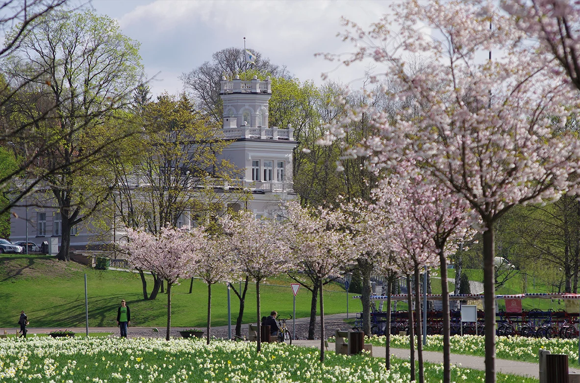 Seminaras poroms „Dialogas – išgirsti kitą“ 3